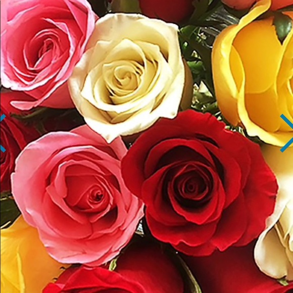 Meet your Posher, Terrie - Picture 2 of 2